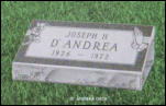ANDREA D878