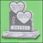 HAYNES D937