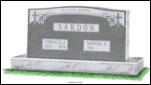 SARDON D910